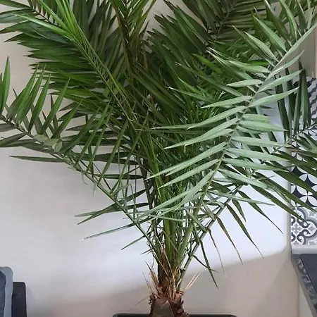 Apartment Bella *